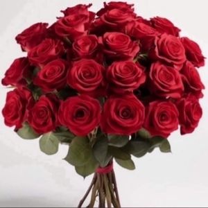 Meet your Posher, Agenshr